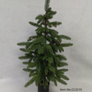 Green Tabletop Artificial Christmas Tree in Black Pot 24 Inch, Full Branch PVC Xmas Tree Bulk Supply
