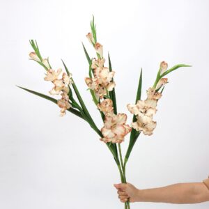 Cream Apricot Artificial Gladiolus Stems Set of 5, Faux Sword Lily Flowers for Tall Vase Wedding Decor, Wholesale
