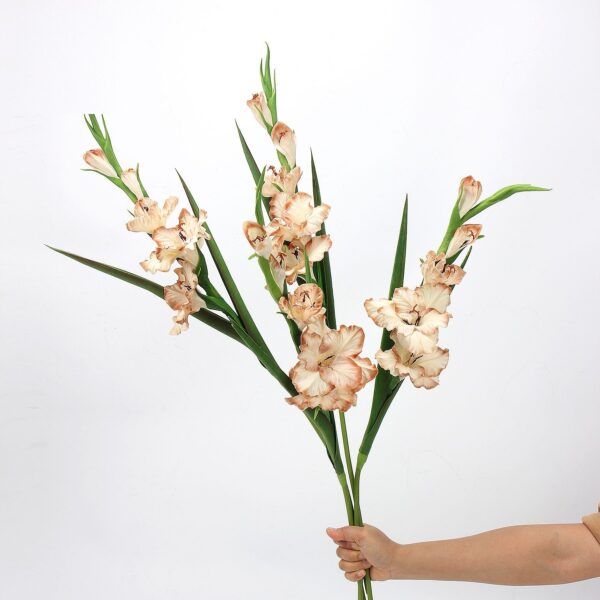 Cream Apricot Artificial Gladiolus Stems Set of 5, Faux Sword Lily Flowers for Tall Vase Wedding Decor, Wholesale