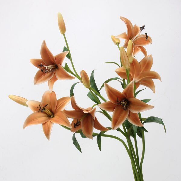 Terracotta Artificial Lily Bush 6 Heads with Buds, Faux Asiatic Lily Bouquet for Autumn Home Decor, Wholesale