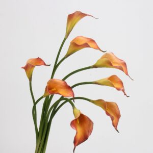 White Real Touch Calla Lily Stems Bundle 5 Heads, Artificial Calla Lilies for Wedding Bouquet and Home Decor, Wholesale
