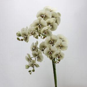 Lavender Purple Artificial Phalaenopsis Orchid Stems Set, Faux Butterfly Orchid Arrangement for Home Wedding Decor, Wholesale