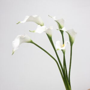 White Real Touch Calla Lily Stems Bundle 5 Heads, Artificial Calla Lilies for Wedding Bouquet and Home Decor, Wholesale