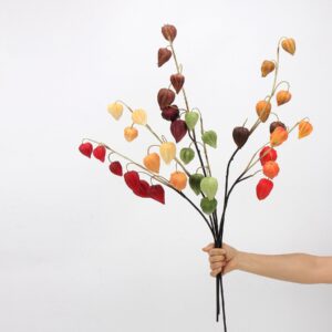 Multicolor Artificial Physalis Branches, Faux Chinese Lantern Flower Stems for Autumn Home Decor, Wholesale