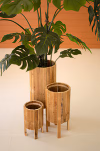 PLANTERS