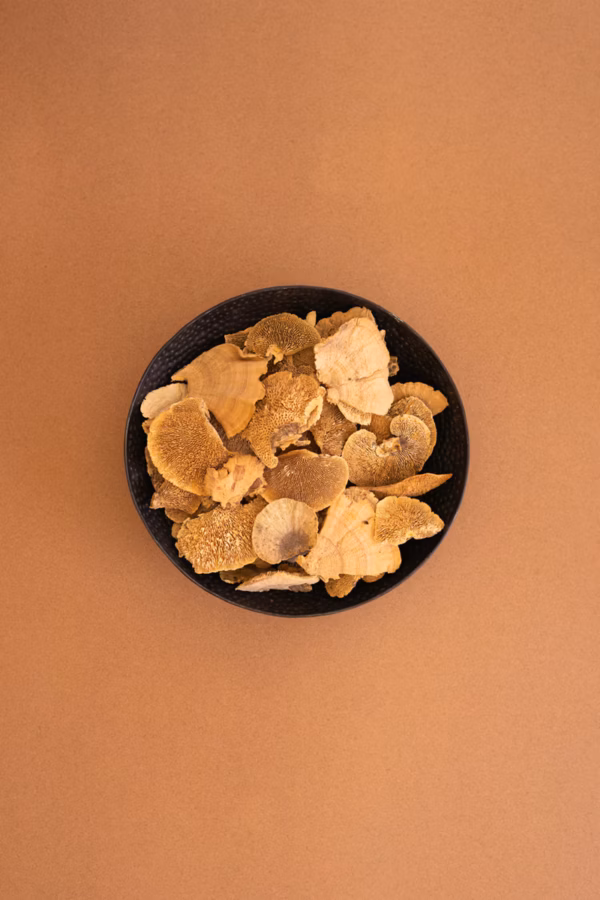 Bag of 48 Dried Sponge Mushrooms